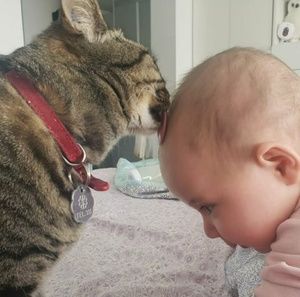 Meet your Posher, Silvana